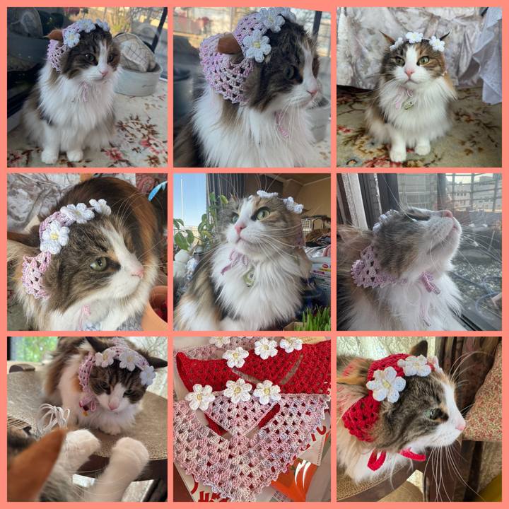 41f8c3d7 8186 420d 9378 ed2e80fbeb49 1773371108303