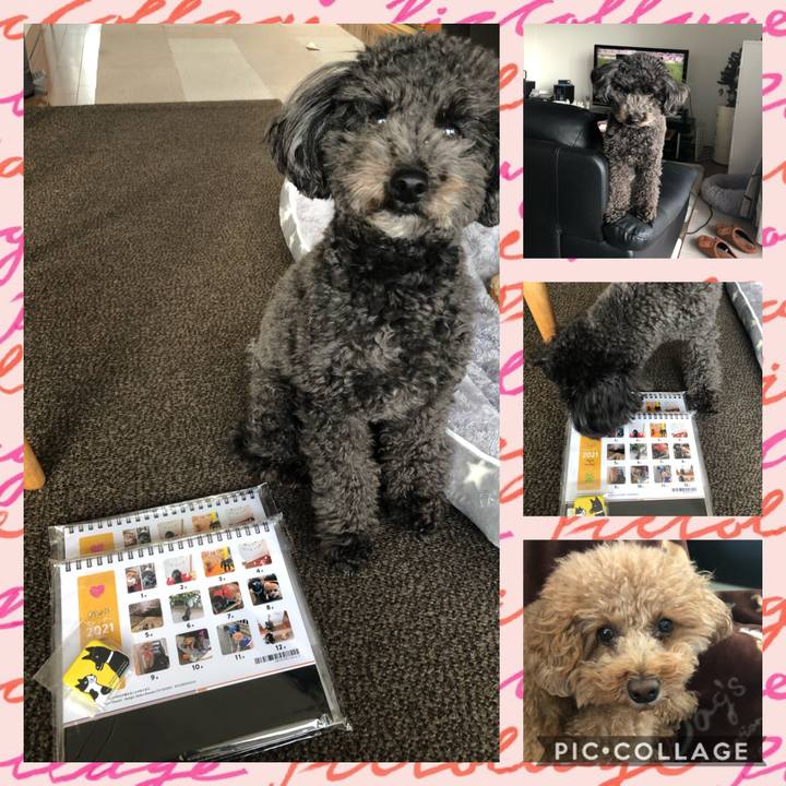 41f8c74e 323c 48db 9db6 9bccf57e9566 1607753072209