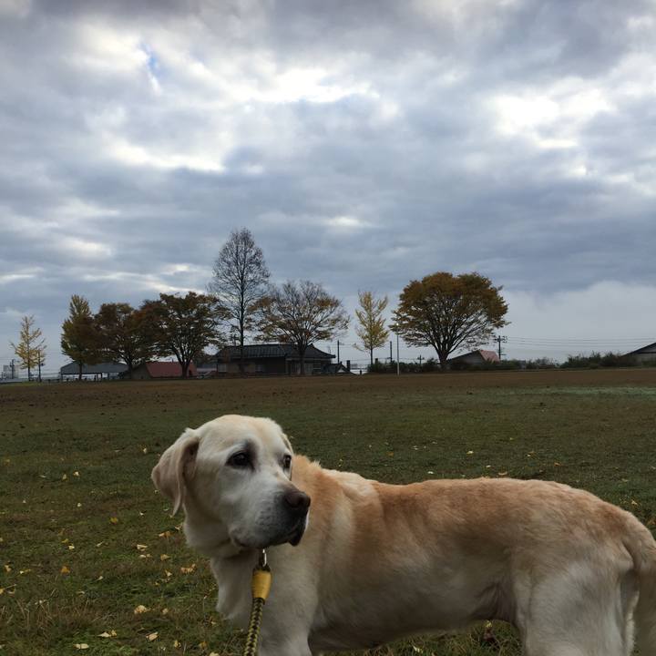 41f8f6ac c7b9 45e9 a22e 3a79feb14aab 1542152590403