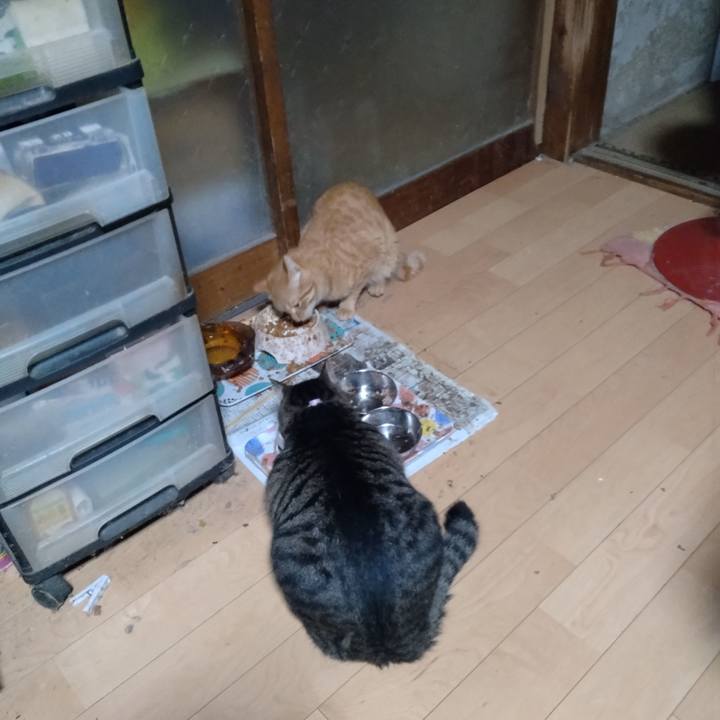 41f90ee1 7819 44bc 82bb 4b84b7ee345e 1666562038637