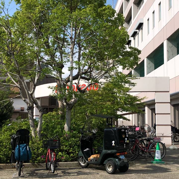 41f911fe 0483 42fd b80b 76849ebd4185 1620574522995