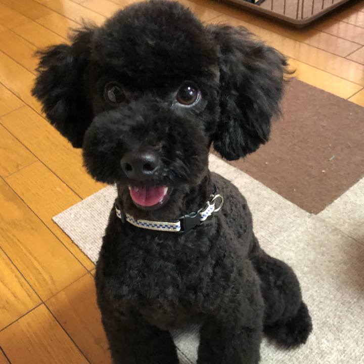 41f91cb5 7a5a 4d48 a907 f659e7ef757d 1532142801131