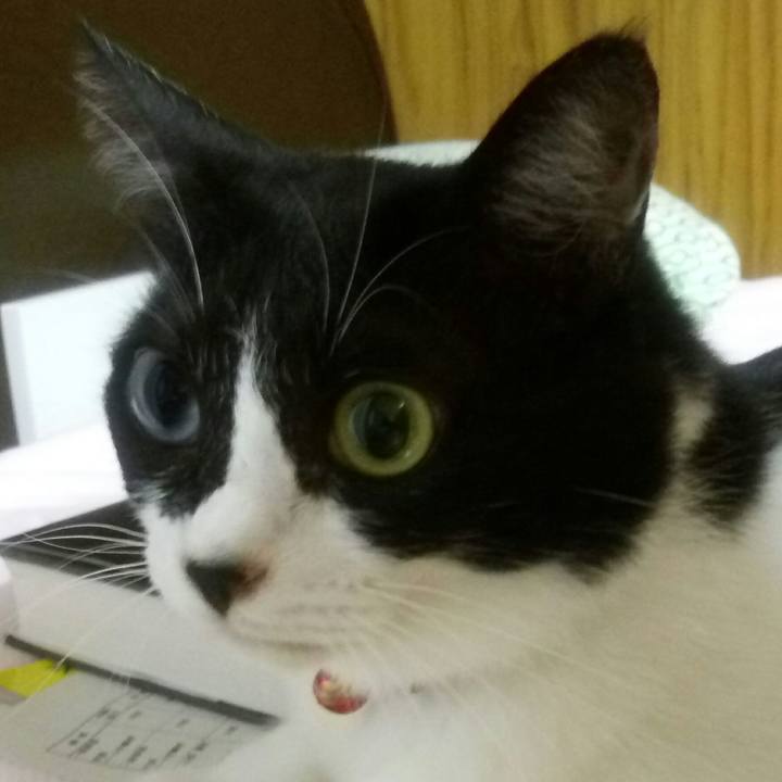 41f934cc c1d0 4f60 b326 b7807fbbd630 1536326929738