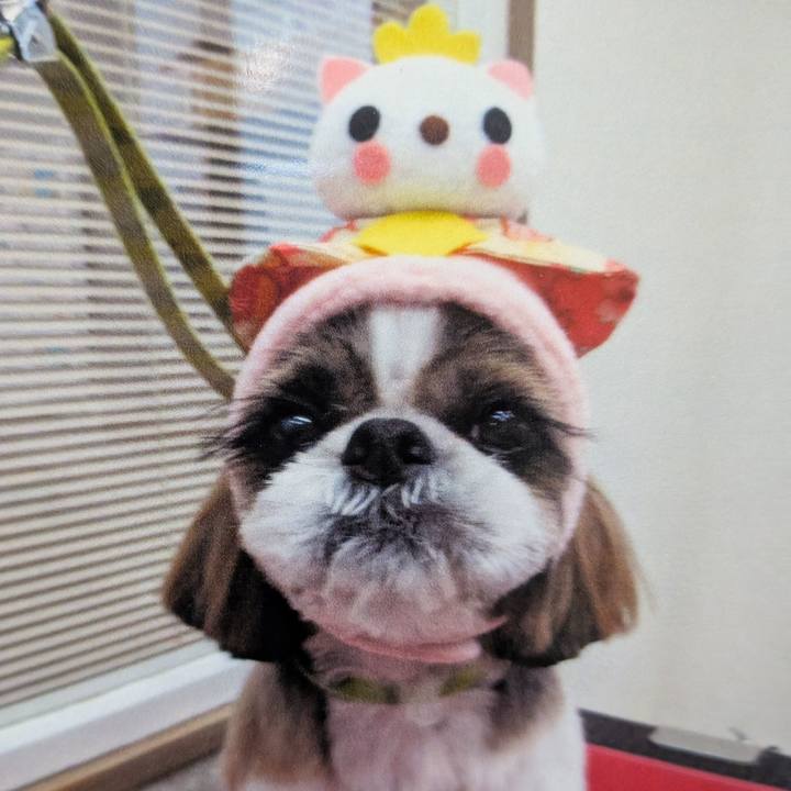 41f96065 b8b3 4798 8e64 d9e092161271 1772876921617