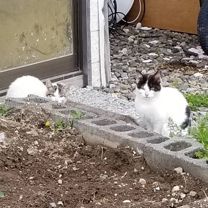 41f96212 0927 4713 8f5e 144a2db560c5 1558429832419