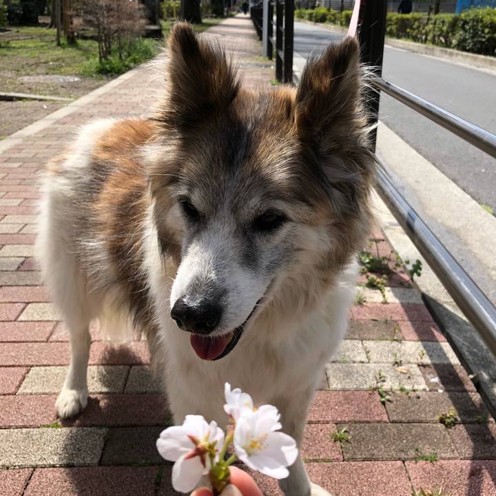 41f99704 91b6 4d95 989d 94abb5e853ac 1585450261661