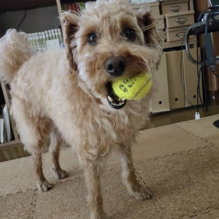 41f9c10f 2a6e 4221 8f0e 4aa9d8451adc 1599777224243