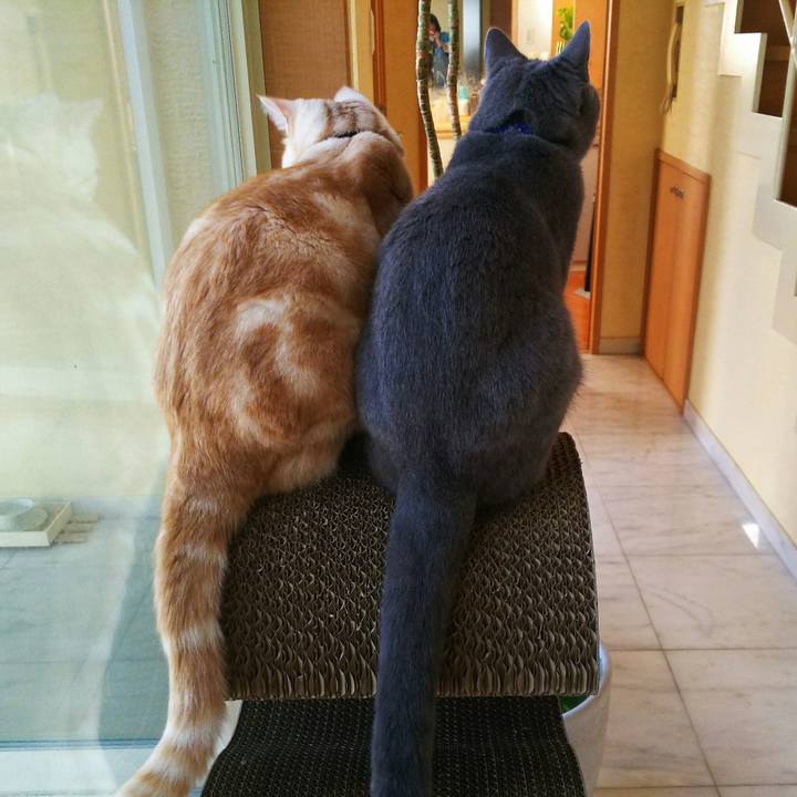 41f9c857 03db 48a6 b053 59c2a729f004 1509000148557