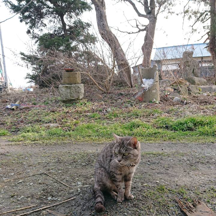 41f9eb22 6ec6 42b3 8f78 3f721001eb16 1581748958394