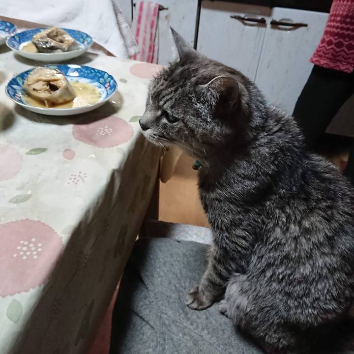 41f9f0eb ed9a 4af8 8dde 13240dd9a14b 1607338621502