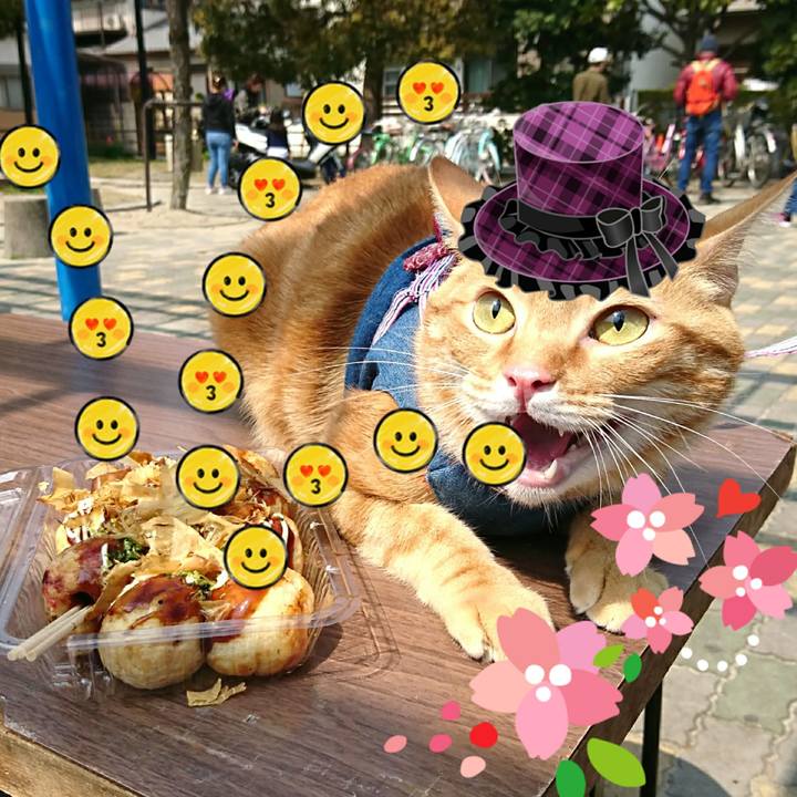 41f9fb77 d995 4bc1 a623 6ea8b41a552e 1551156248104