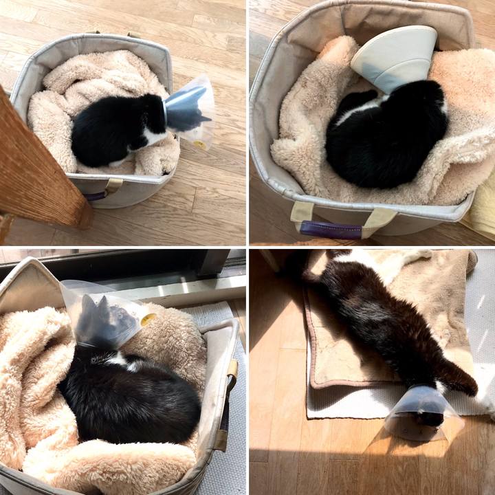 41fa2454 c201 46c2 a923 2313673a15d3 1581949090662