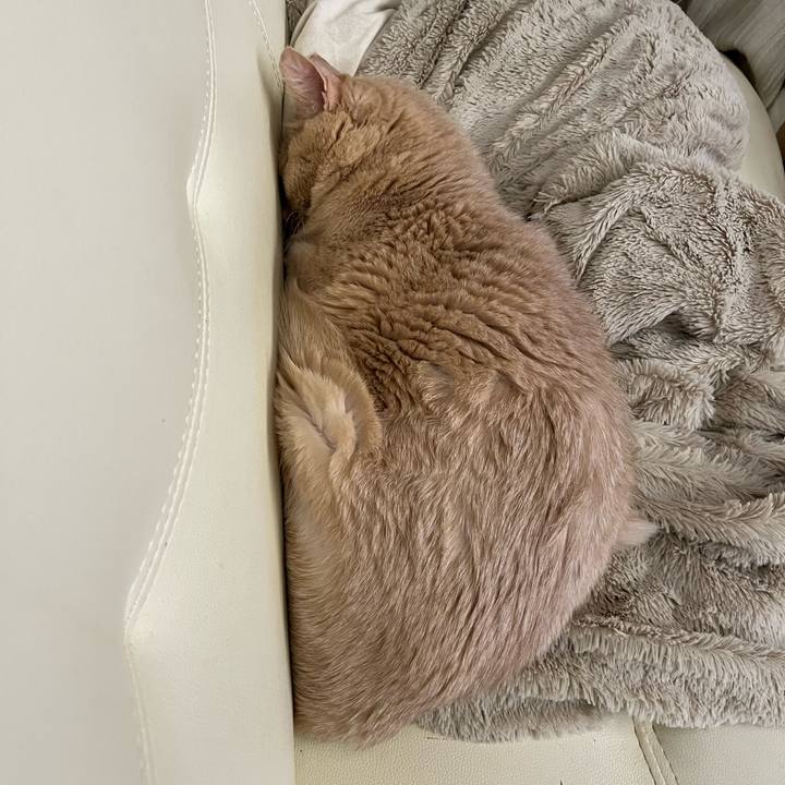 41fa2bd7 184d 4566 9de3 1ff3d2697025 1707212785581