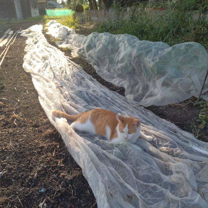 41fa3457 3f94 4d81 9943 ad8b250dc28a 1756900527137