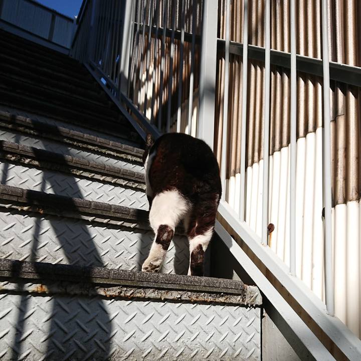 41fa5c7d e4df 4e0f 8d3e 56942258c7f1 1612660305509