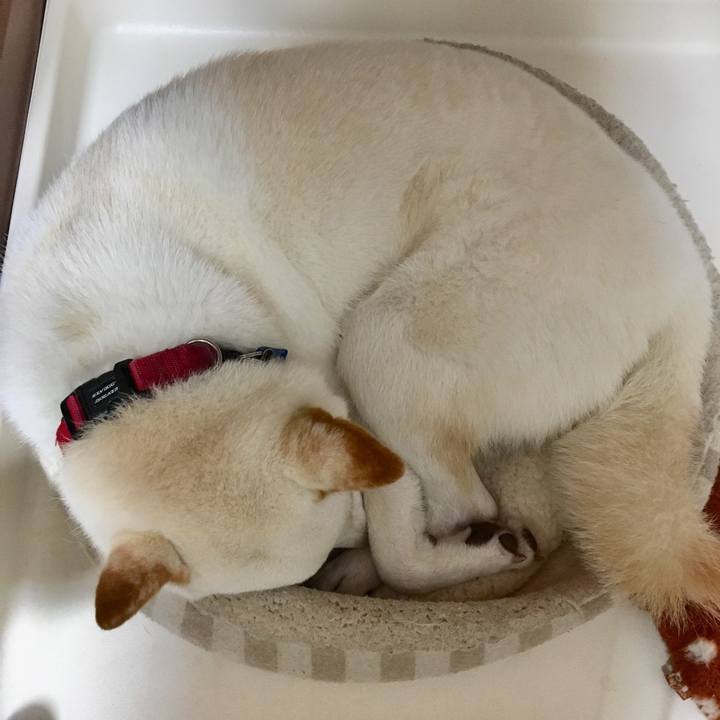 41fa8ac1 f79c 432a b993 1718313b3664 1539005144461