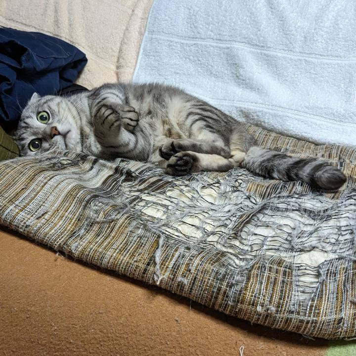 41faa42f dfc3 4b99 a53d 30afa0310699 1706620631074