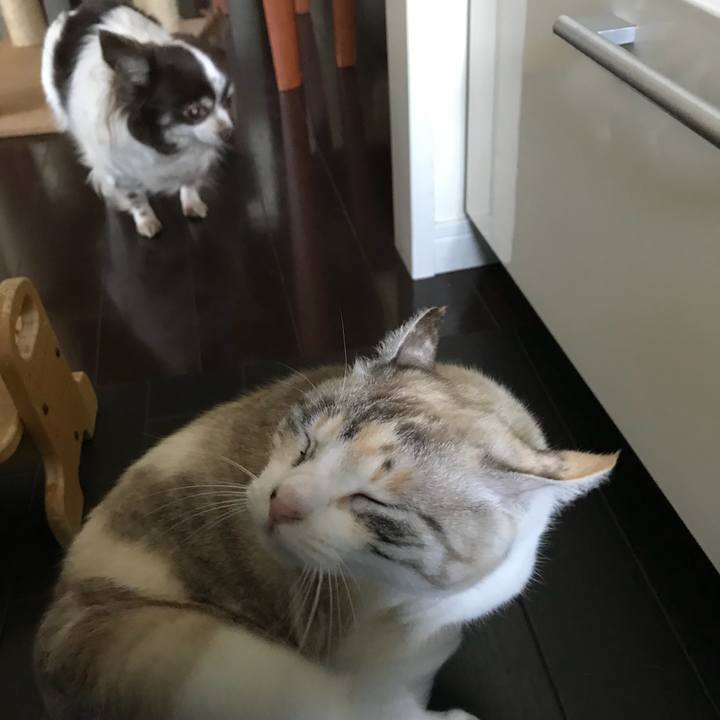 41fab44f 1e8f 4a8e bd60 4b6e8da372c1 1516105130895