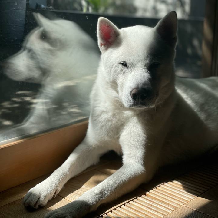 41fac385 dc7b 4b9b a7a6 a6b9fbdb5768 1682213407072