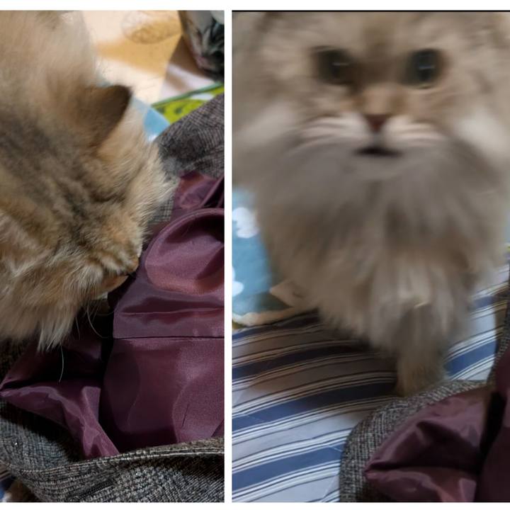 41fb0ca8 237e 4d00 a5bd 465b0e80ae7b 1764371063619