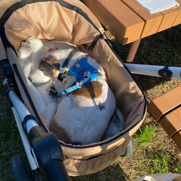 41fb6e62 f979 428c b129 9465aacf8293 1700985346665