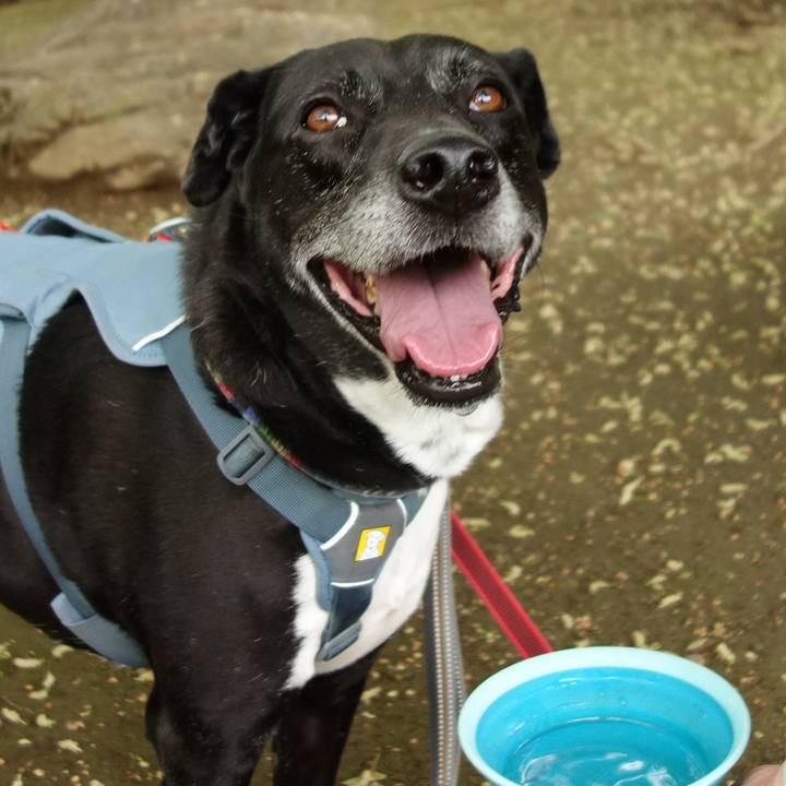 41fbb739 09a2 4a21 9873 518664a79281 1713833825339