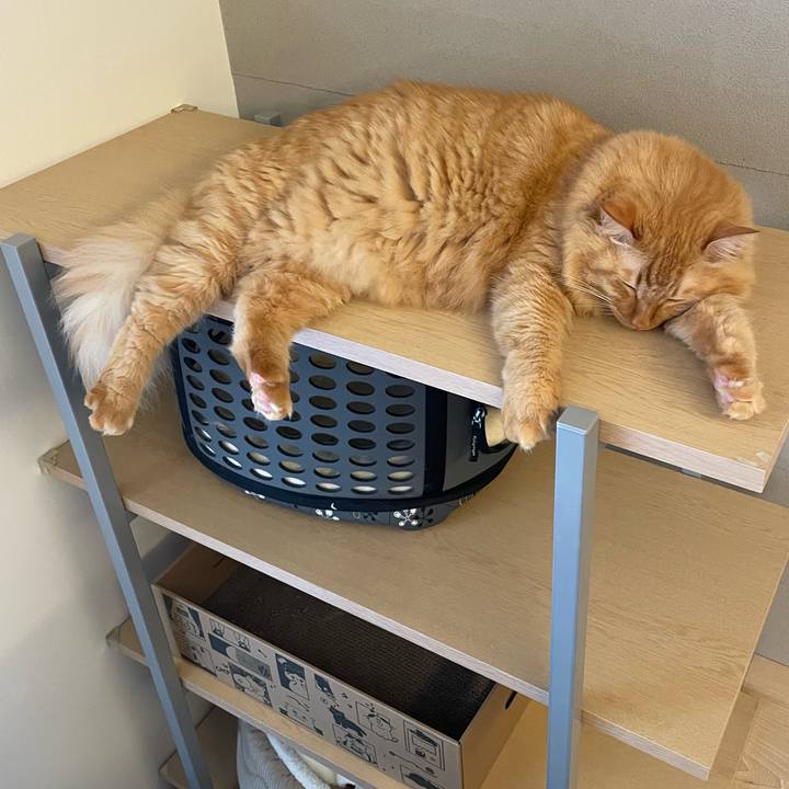 41fbcf2c 47ff 4307 aa67 b4b8a3634ef1 1766302310969