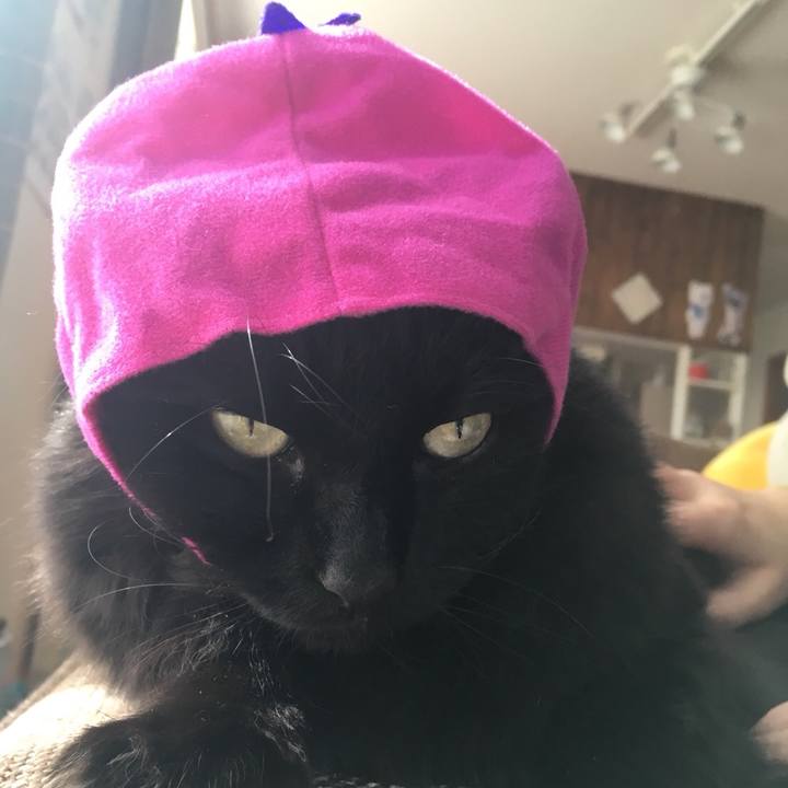 41fbfe49 364a 4a71 912e 219ad10e3854 1524464154354