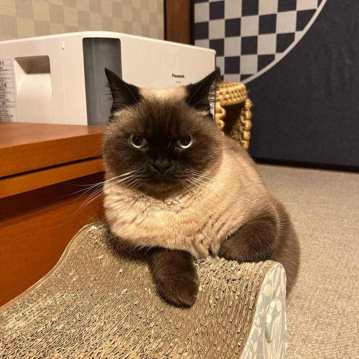 41fc0481 26dc 479e a417 4c668fcc4914 1700048144776