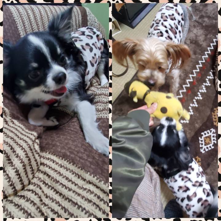 41fc0f44 552d 4f32 9e43 92555f4f4d24 1578212672761