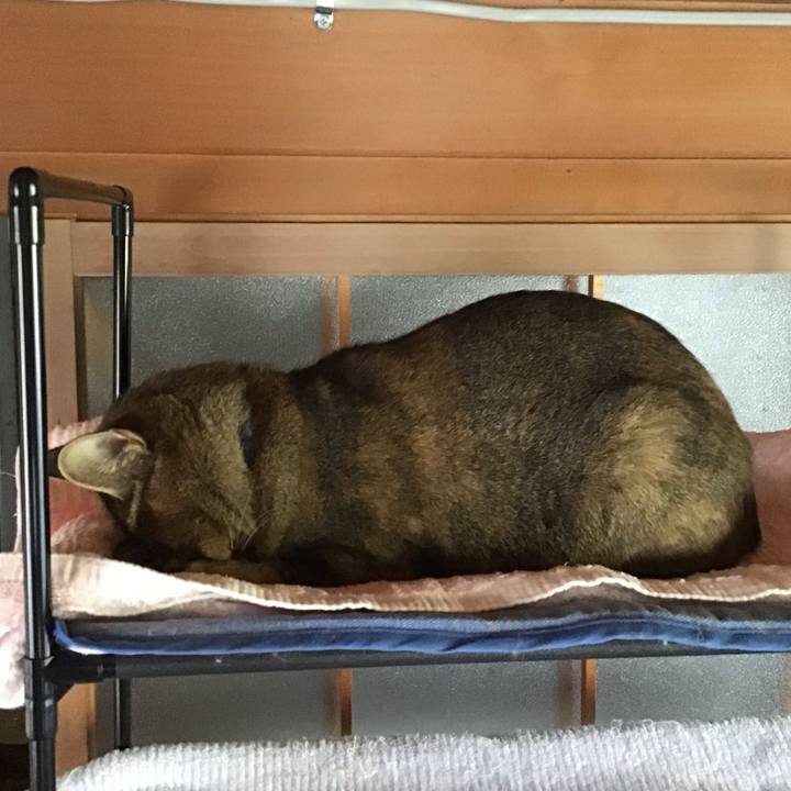 41fc5999 ab06 4d24 aded 6f5d9d3ebf35 1635492088270