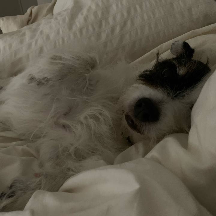 41fc6169 ba69 4f13 b17f 309e7ac9af66 1757600822147