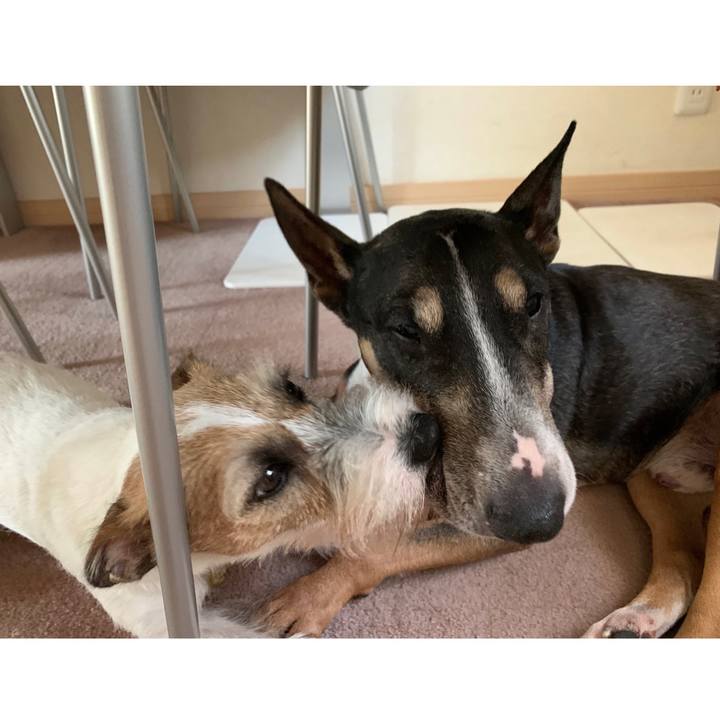 41fc889b e916 471a 8907 559ffb81ef0b 1597727845605