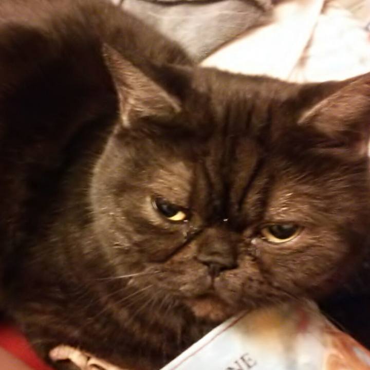 41fc9232 8d03 435b 9029 2e21d642c6a7 1547989538818