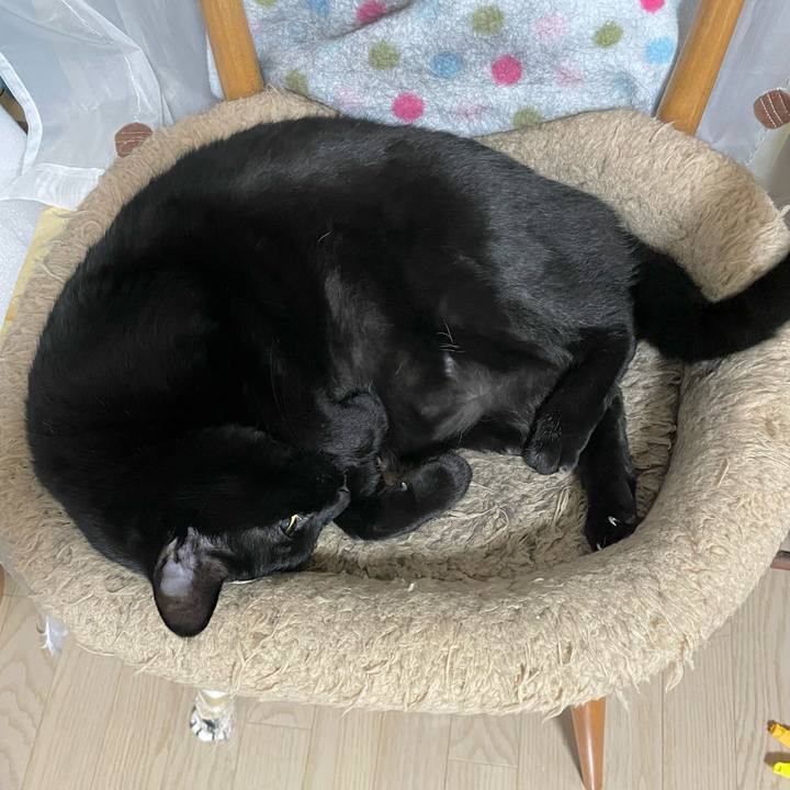 41fc96ef 2b59 4015 a3c6 7815a1e4b10f 1763554958677