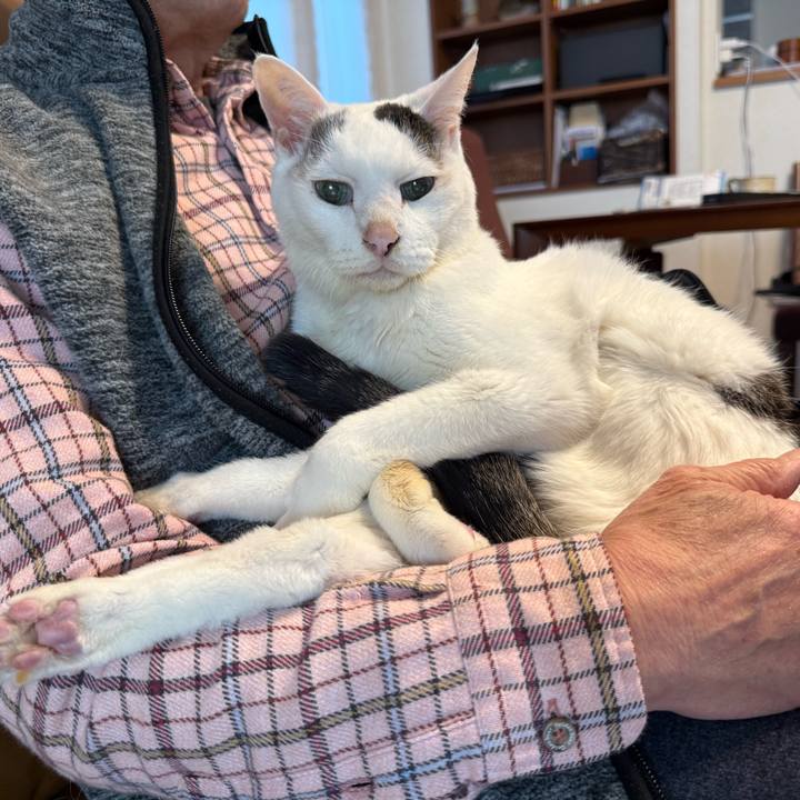 41fcb6a6 3c47 4bc6 8001 d61ba43536c3 1768104672572