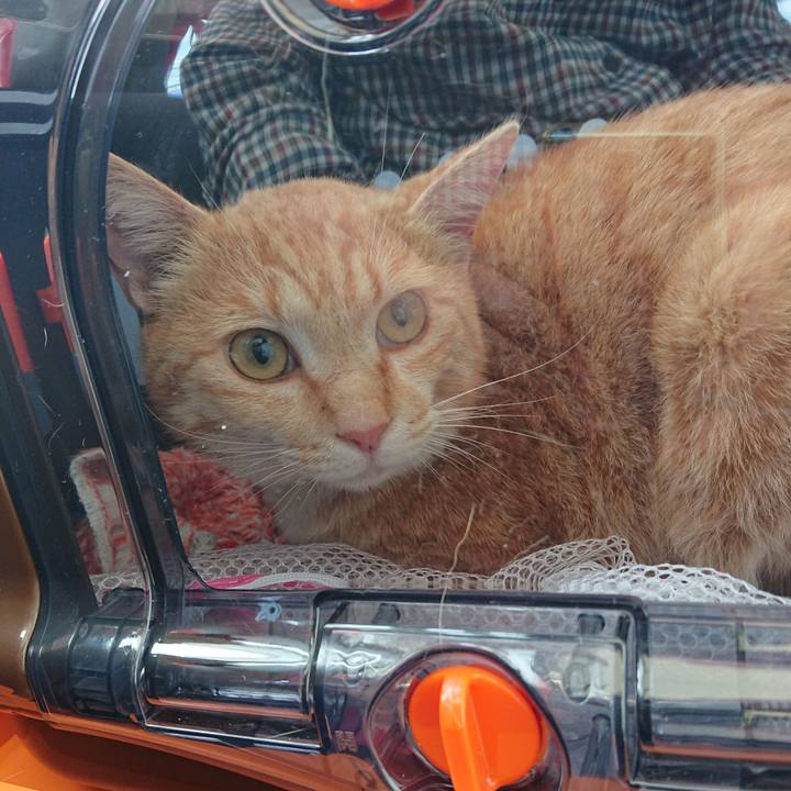 41fcfcc9 91ee 47ff 9f25 b87421dc20e1 1588469152935