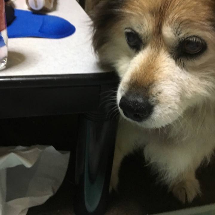 41fd1519 2740 4df0 884c 59fca84b31cf 1600936655792