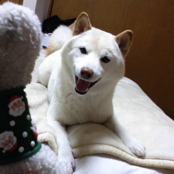 41fd1dc0 3e97 4134 870a 338f80789dad 1635247229975