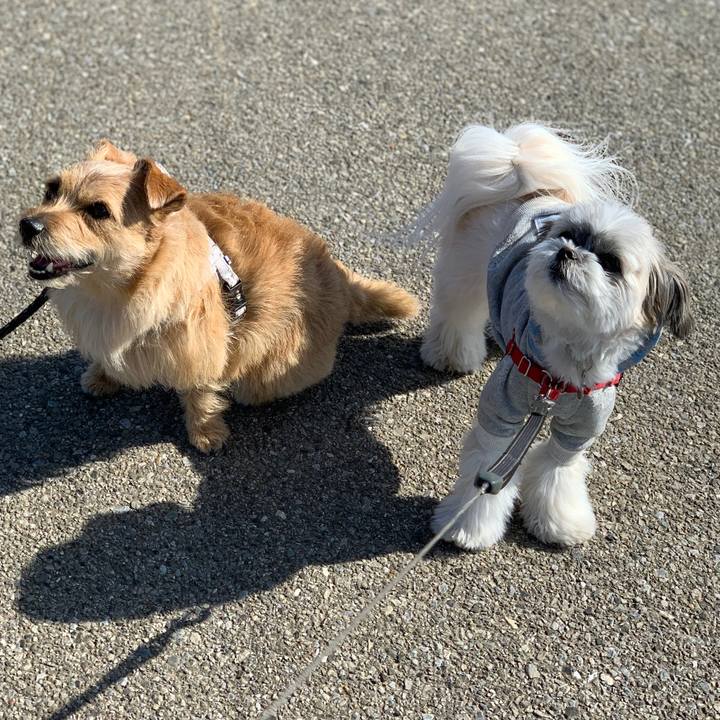 41fd3acd 7e47 4fb3 9013 b92e0865426b 1582088869911