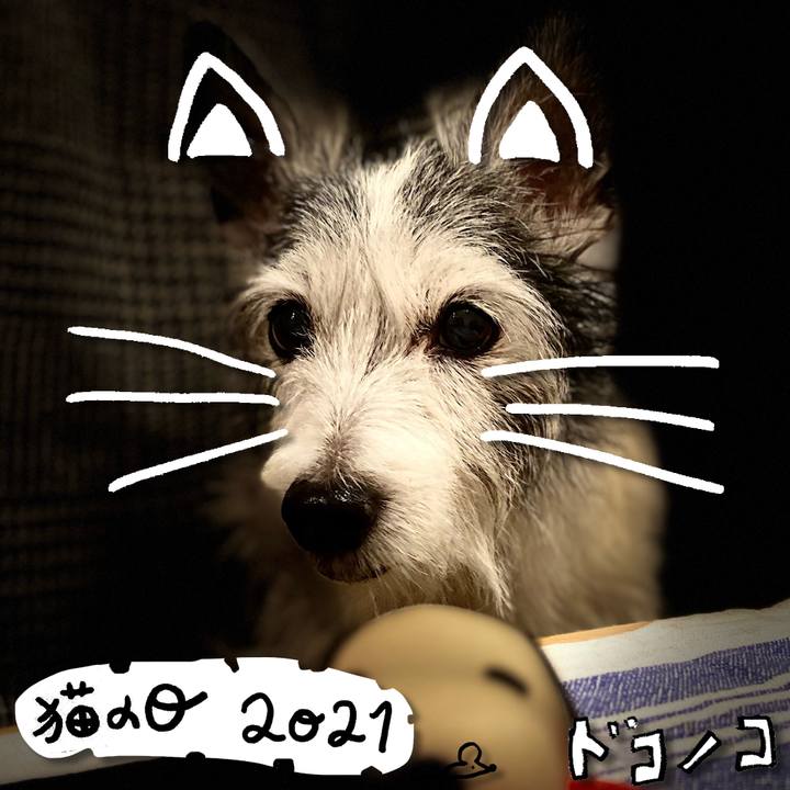 41fd3c2a 04e1 402f b893 d3f204da687c 1613991955660