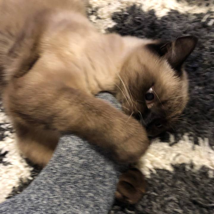 41fd9f32 a1de 4fe2 be19 3b5515cf1521 1604805463993