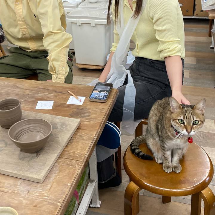 41fdb460 8f0a 4fa3 acbe 5da0b5ce5b13 1742107845191