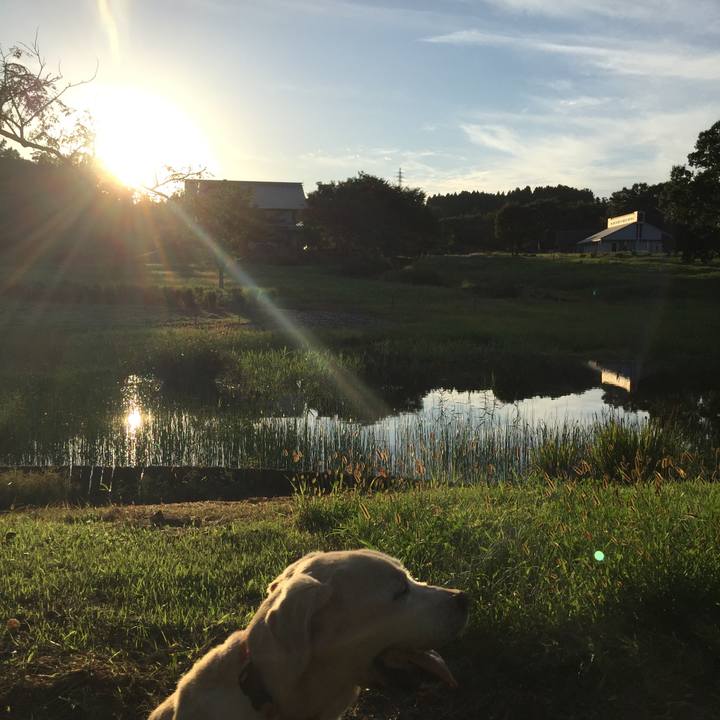 41fdc89c d8a4 4333 956d f1b24ac62964 1566168295335