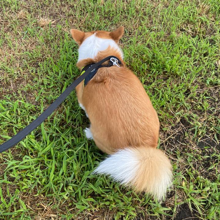 41fde956 d078 474b a268 7269c85f8d7e 1751414280336