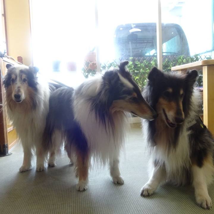 41fe0f3c 2f0a 4904 bdf4 7d1b48efb2a1 1616844027389