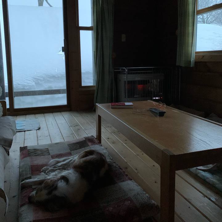 41fe1982 9f59 42ac 91dd 84a8c93c032d 1614291285846