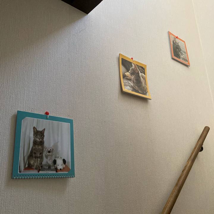 41fe324d d88b 4f07 a478 1ee0e12689da 1609497373214