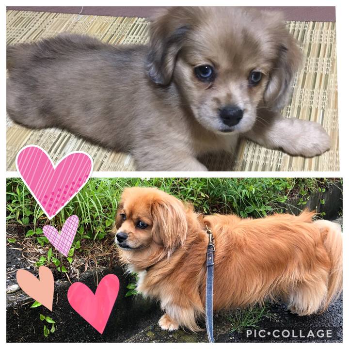 41fe3d38 5e1c 4137 8646 c6dce5f2de7a 1563156431237