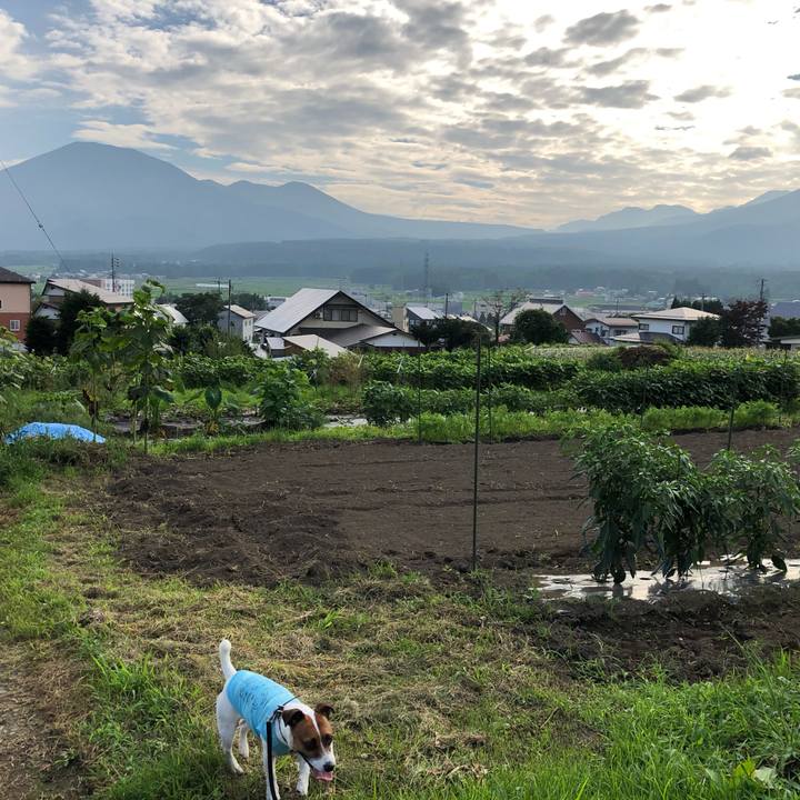 41fe43ef 9a5f 421e ab05 71d40aecddb8 1597055069805